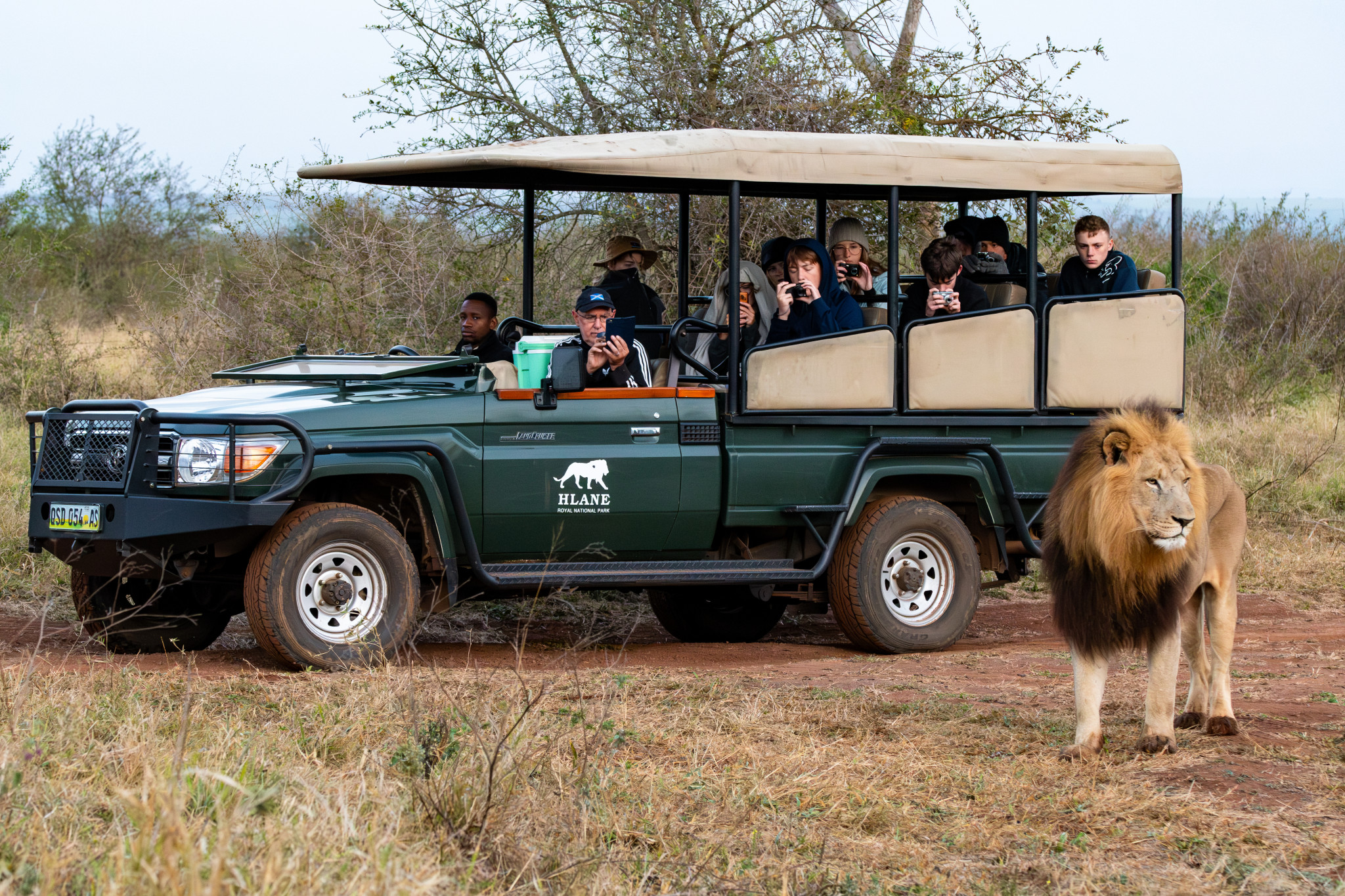 game-drive-hlane-Eswatini