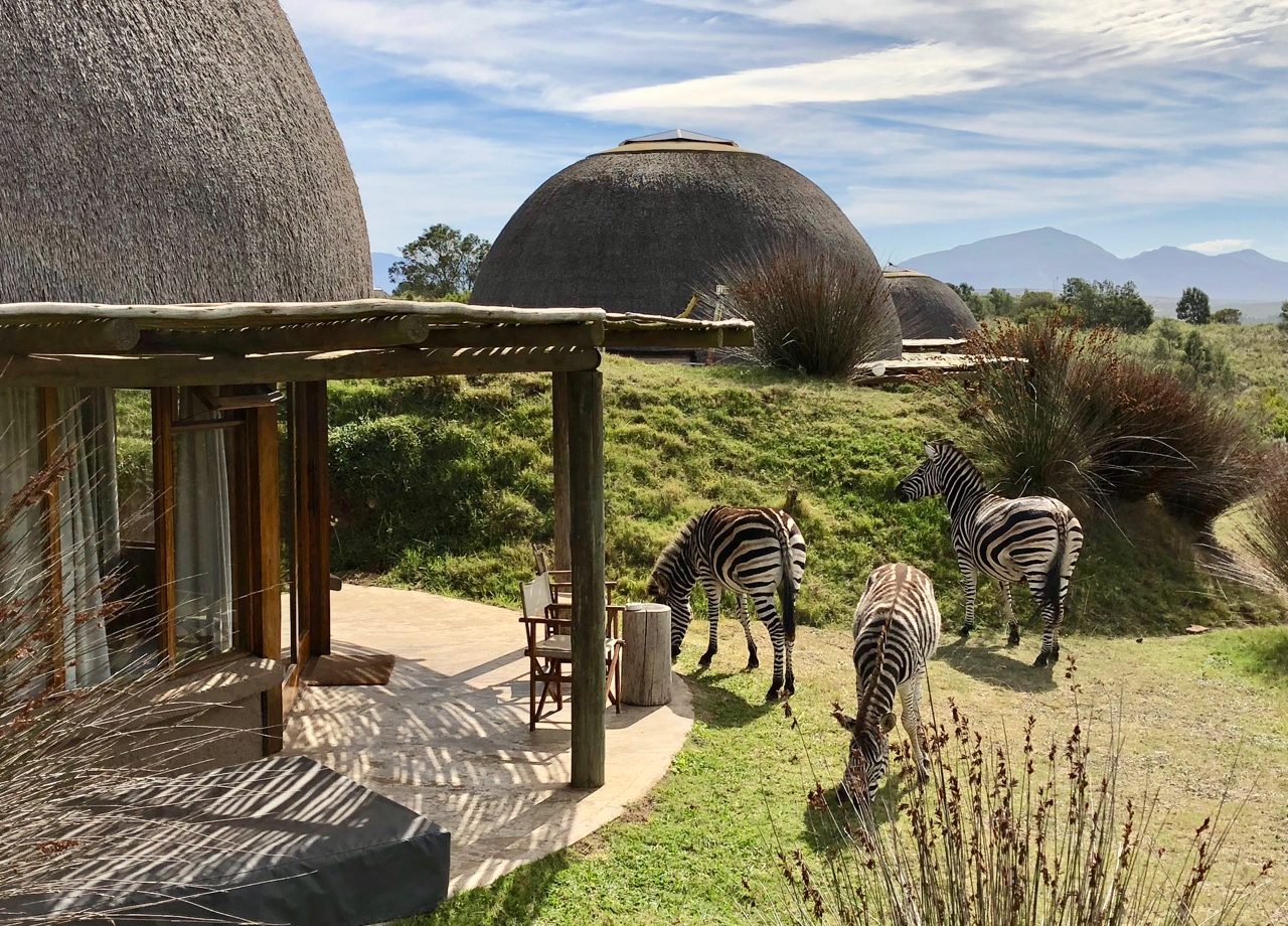 gondwana-game-reserve-zebra's-naast-accomodatie