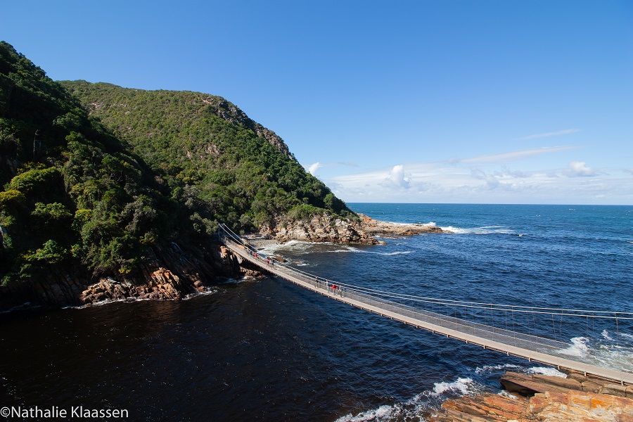 Hangbrug over Storms River Mouth in Tsitsikamma National Park